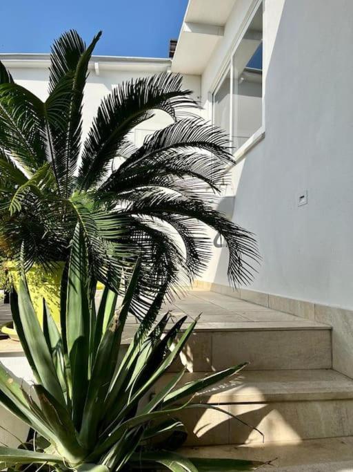 Bed and Breakfast Naples In The History 4M Exteriér fotografie
